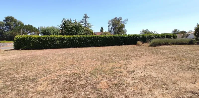 Terrain