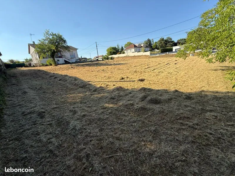 Terrain