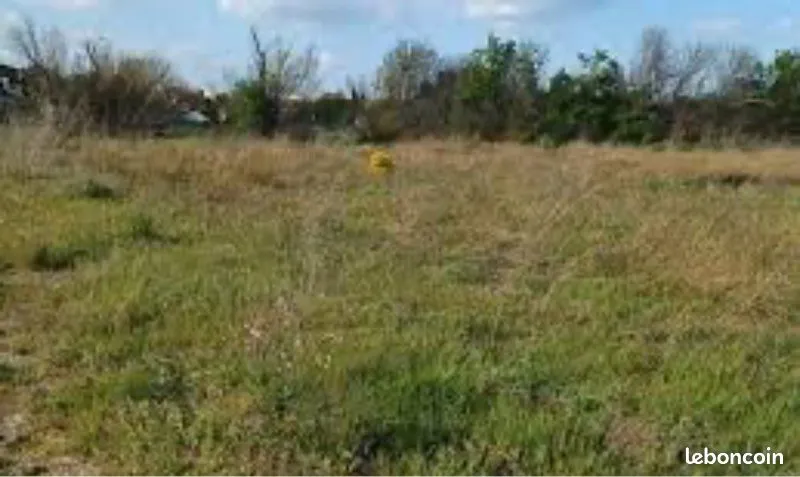 Terrain