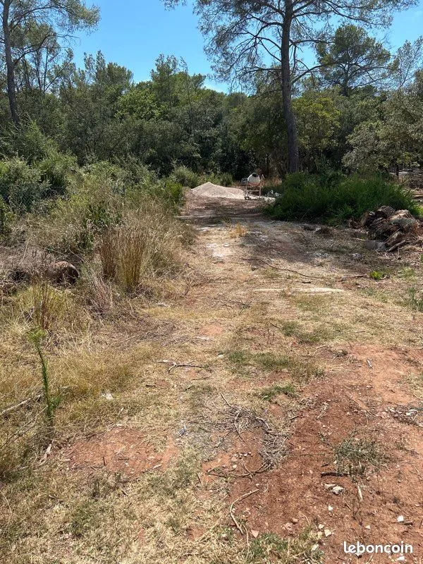 Terrain