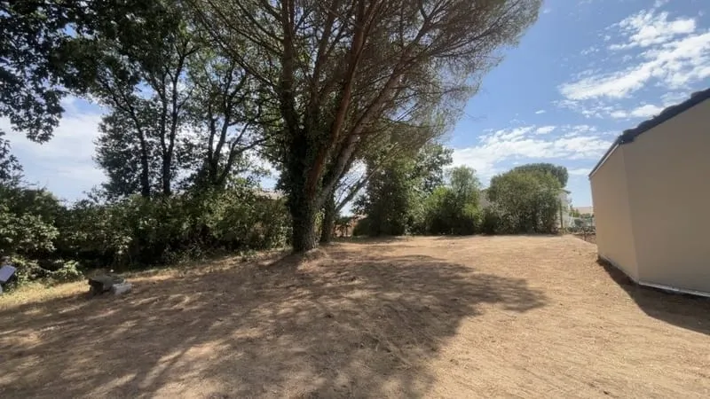 Terrain