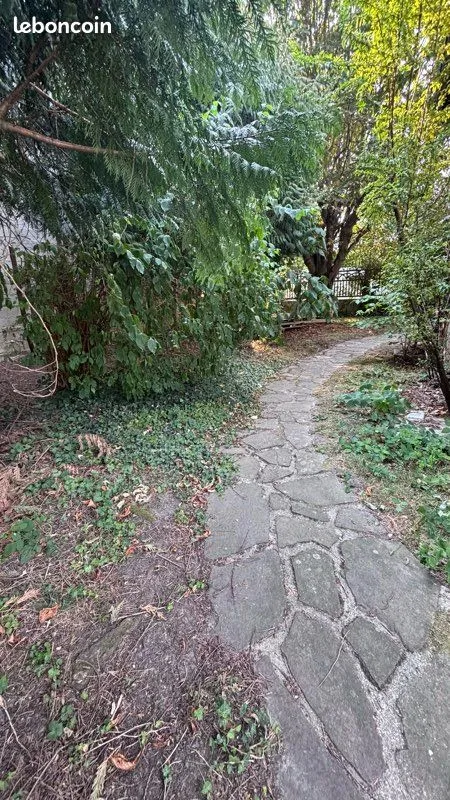 Terrain