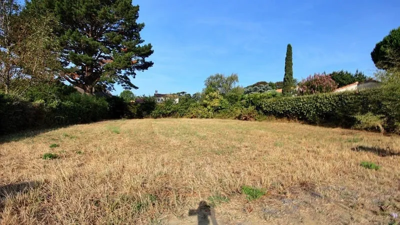 Terrain