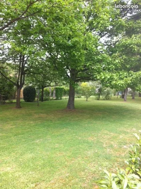 Terrain