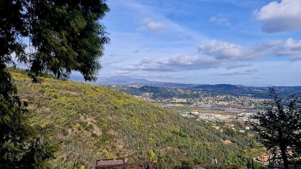 Terrain