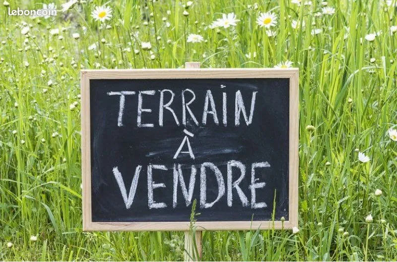 Terrain