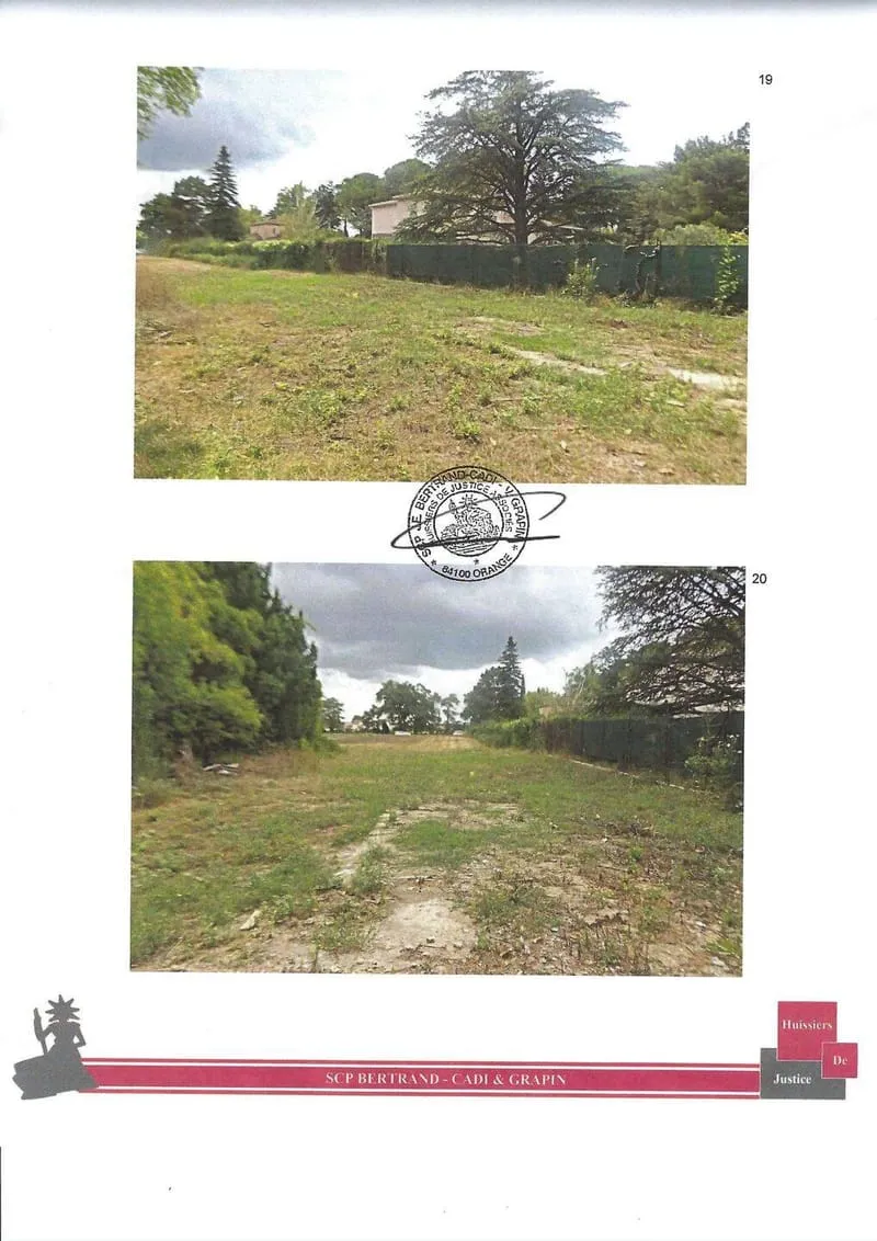 Terrain