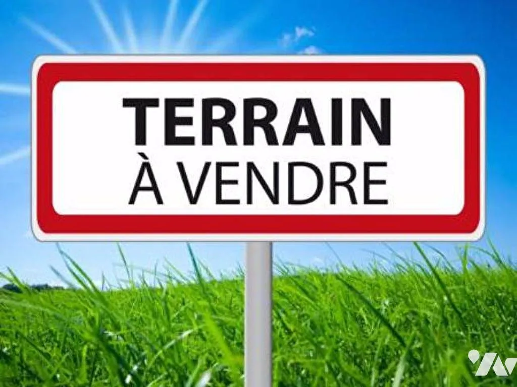 Terrain