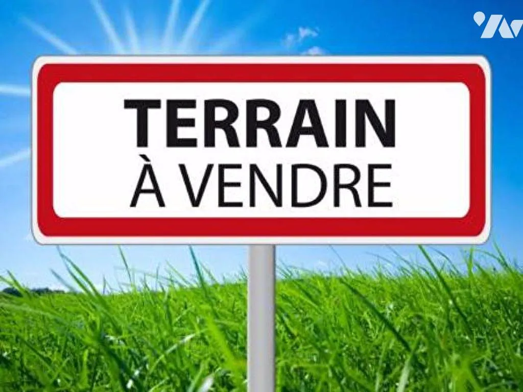 Terrain