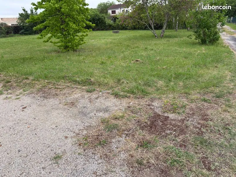 Terrain