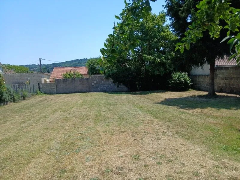 Terrain
