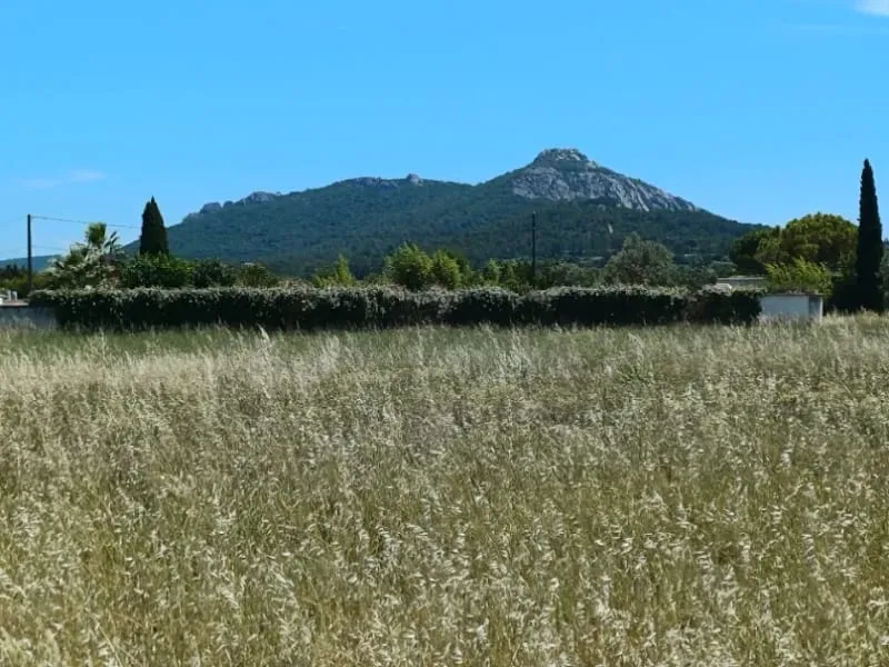 Terrain