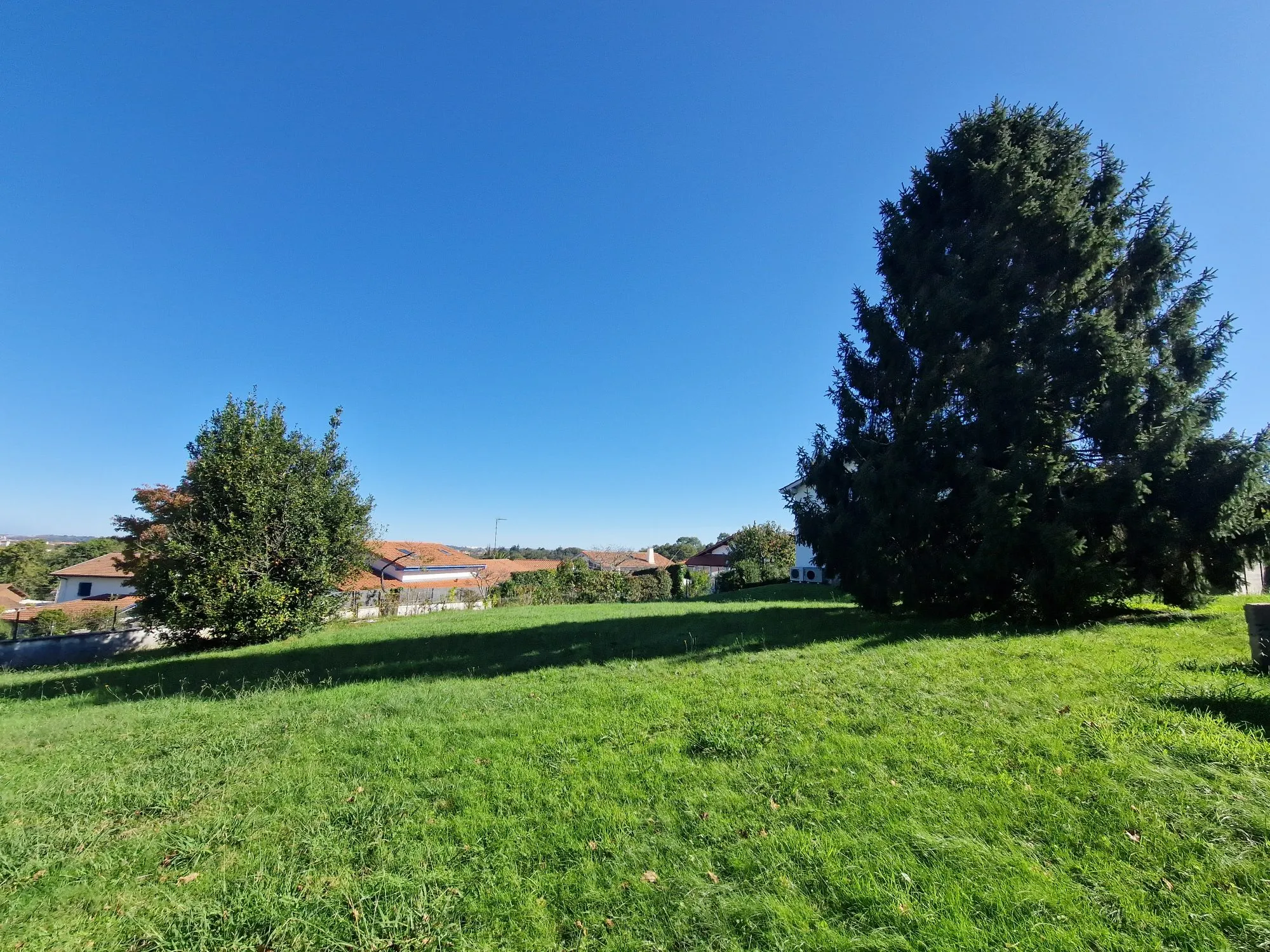 Terrain