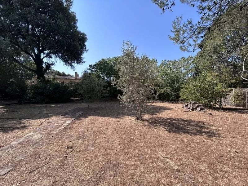 Terrain
