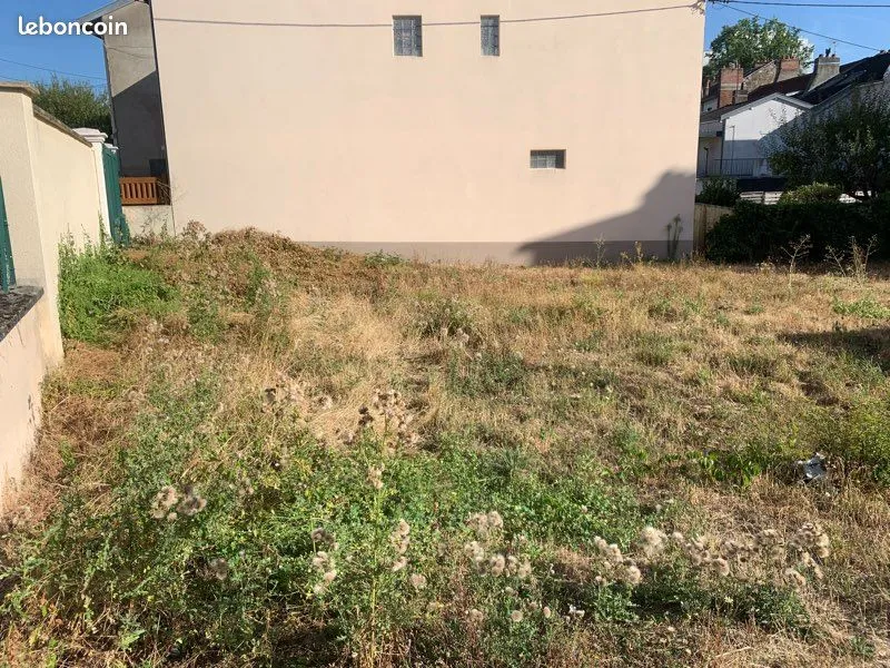 Terrain