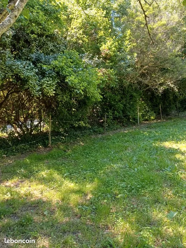Terrain