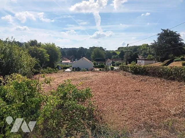 Terrain