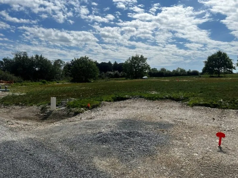 Terrain
