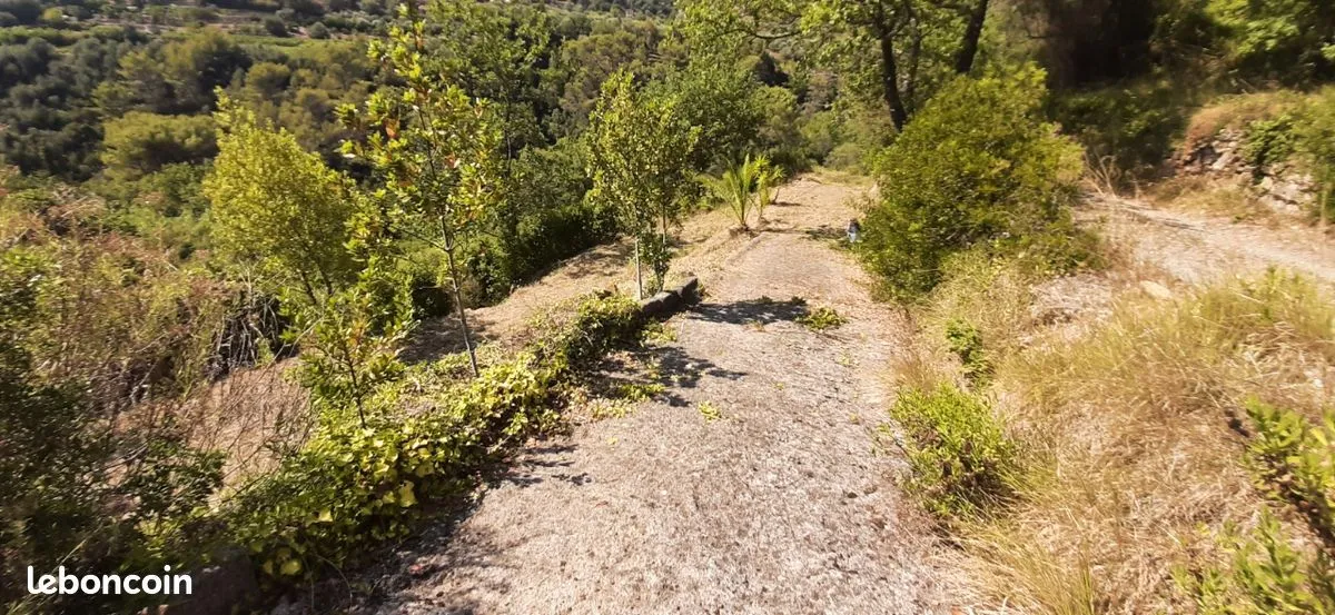 Terrain