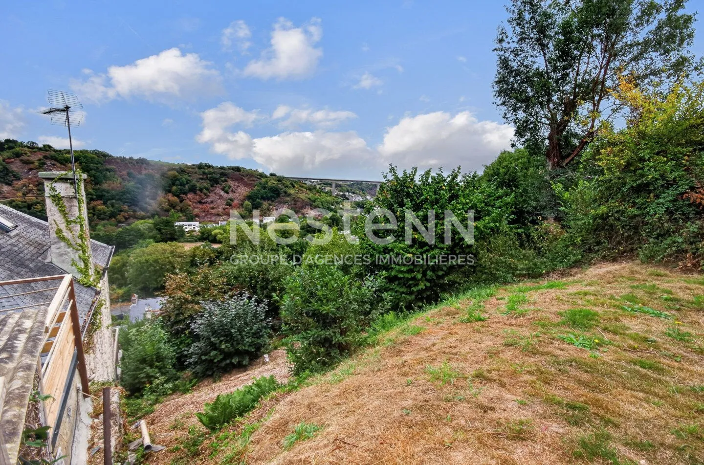 Terrain