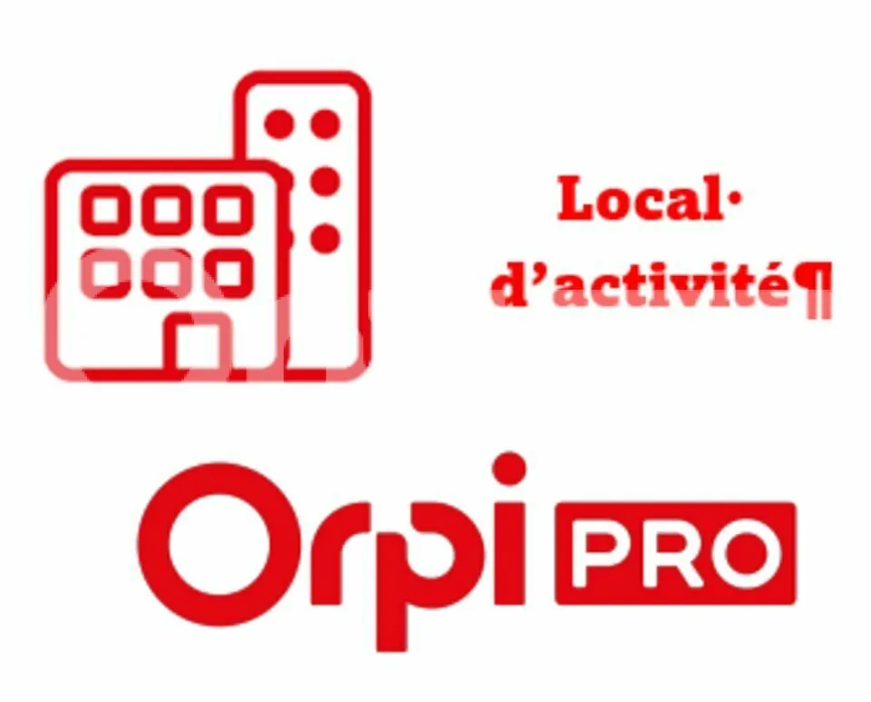 Local d'activité