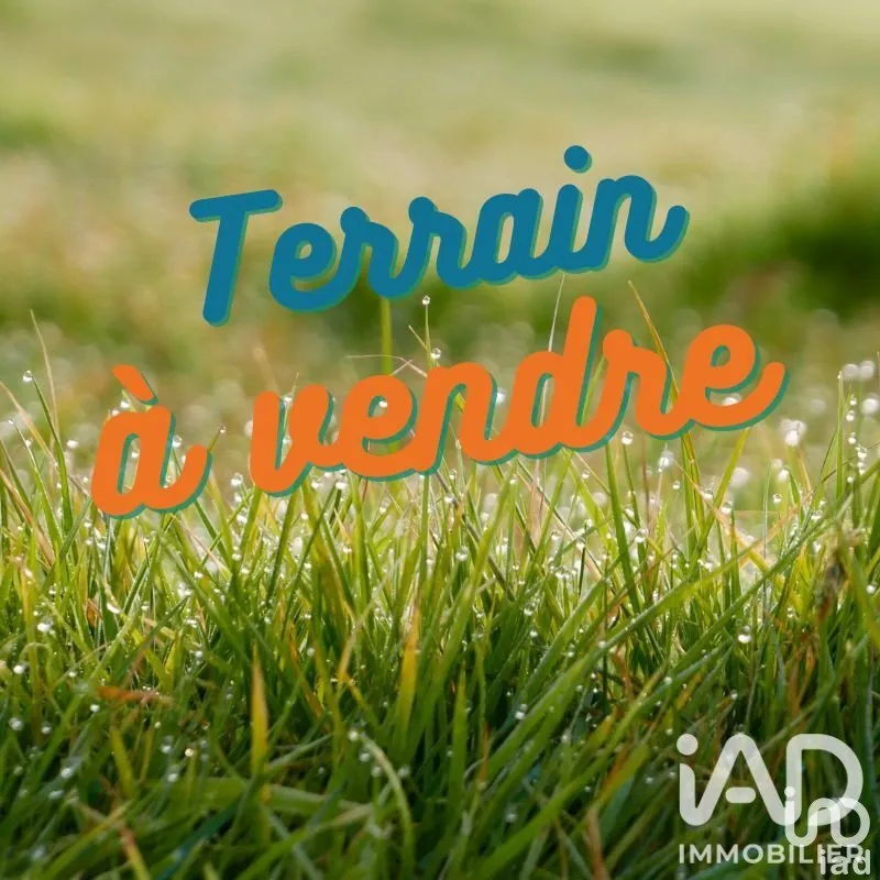 Terrain