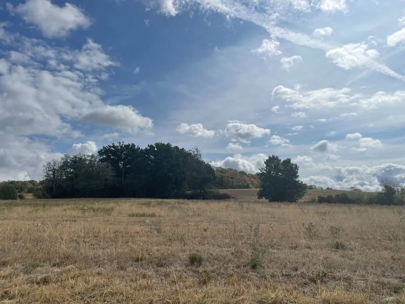 Terrain