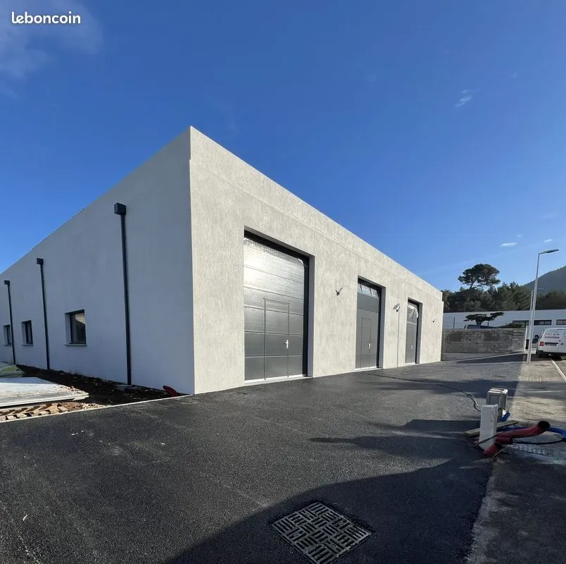 Local d'activité