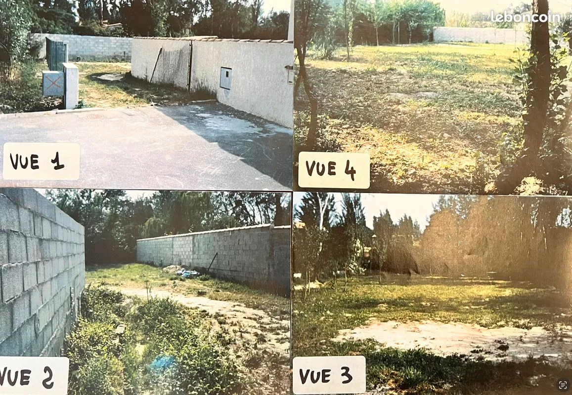 Terrain