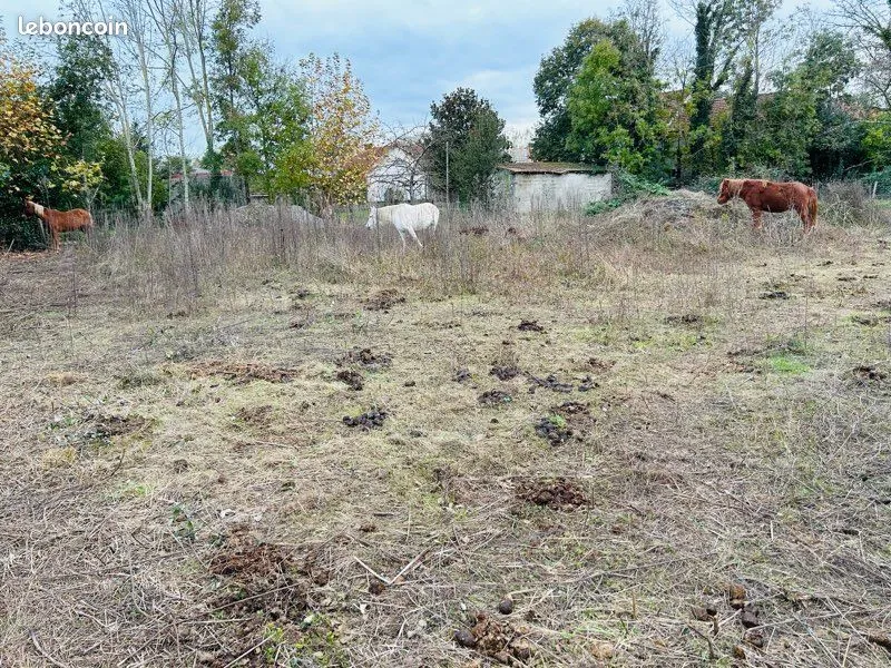 Terrain