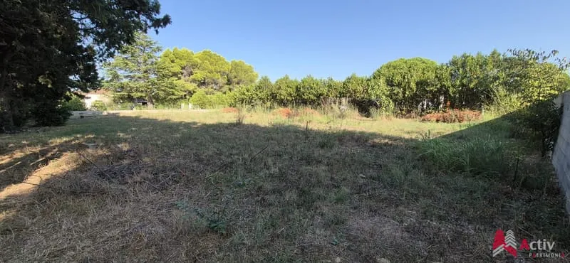 Terrain