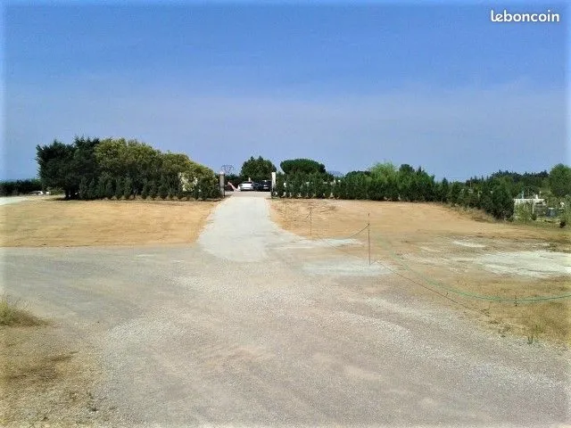 Terrain