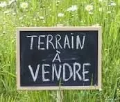 Terrain
