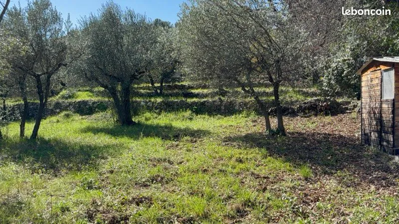 Terrain