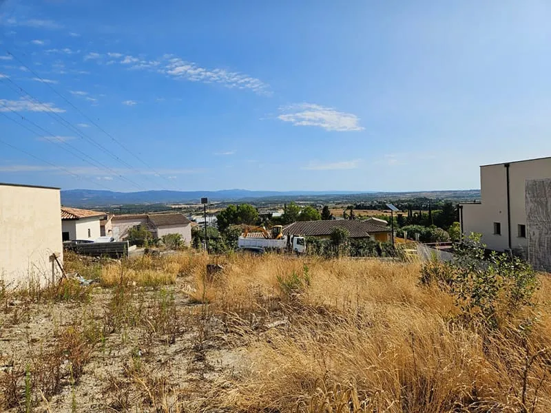 Terrain