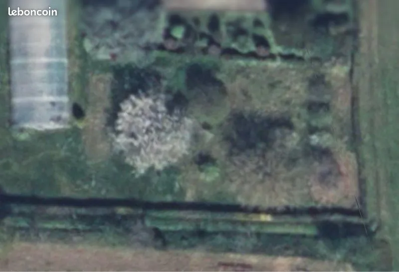 Terrain