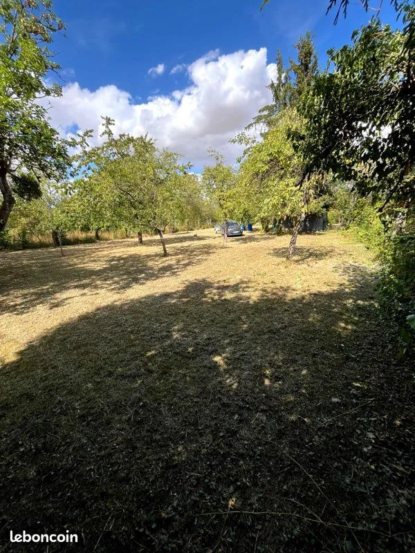 Terrain