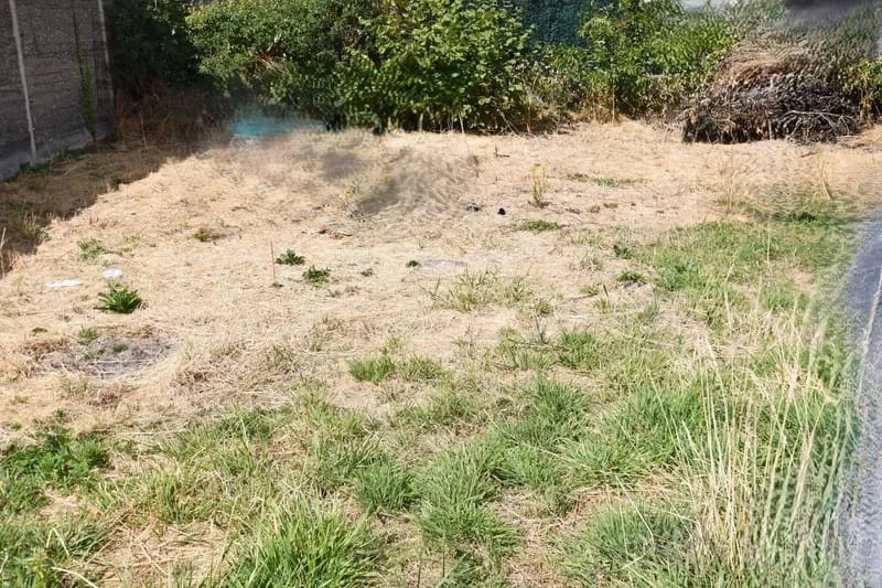 Terrain