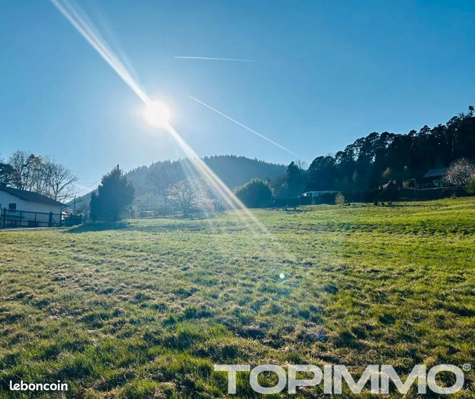 Terrain