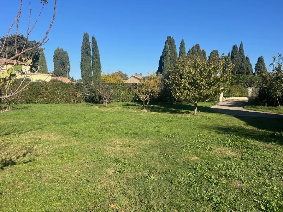 Terrain