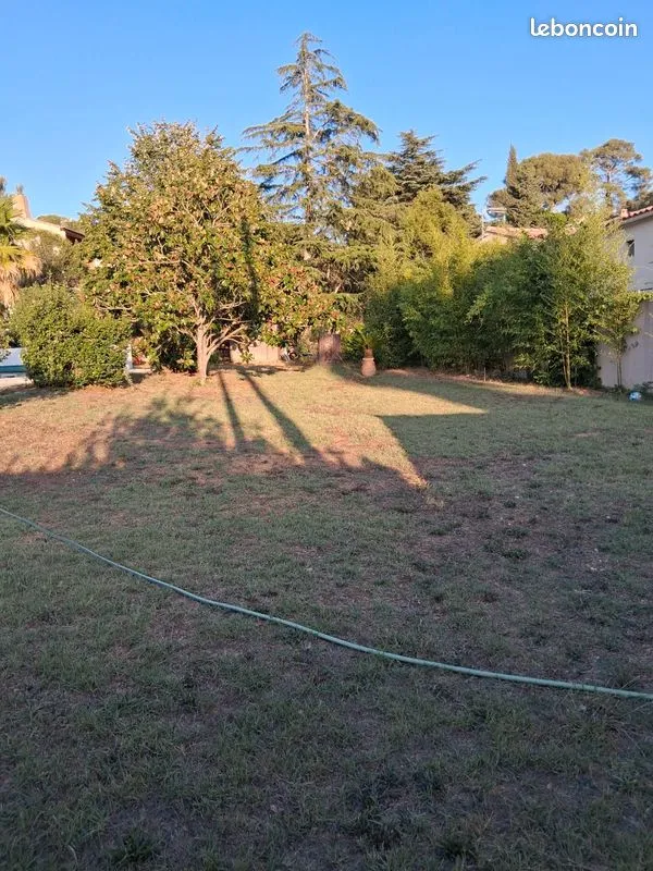 Terrain