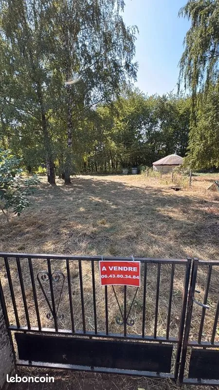 Terrain