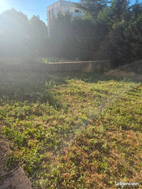 Terrain