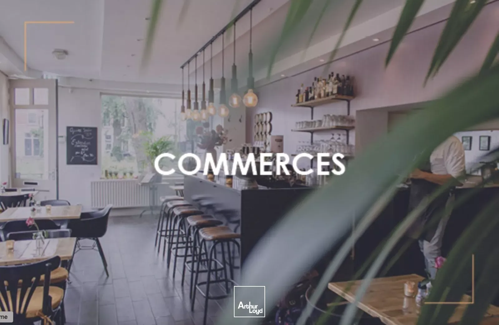Local commercial