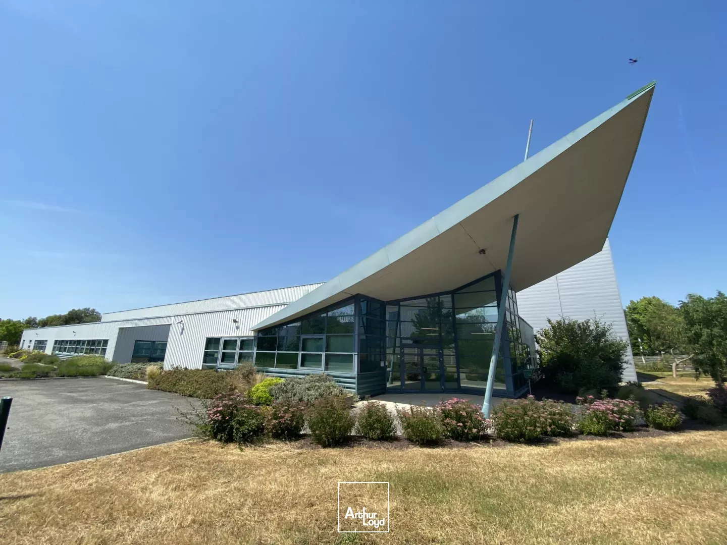 Local d'activité