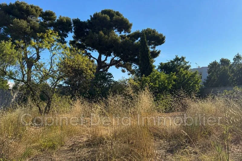 Terrain