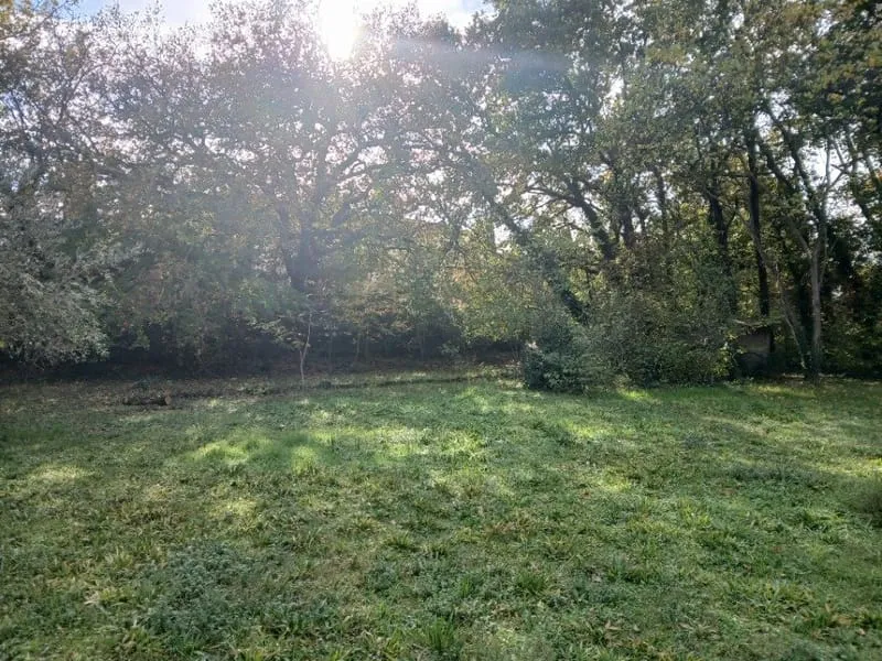 Terrain
