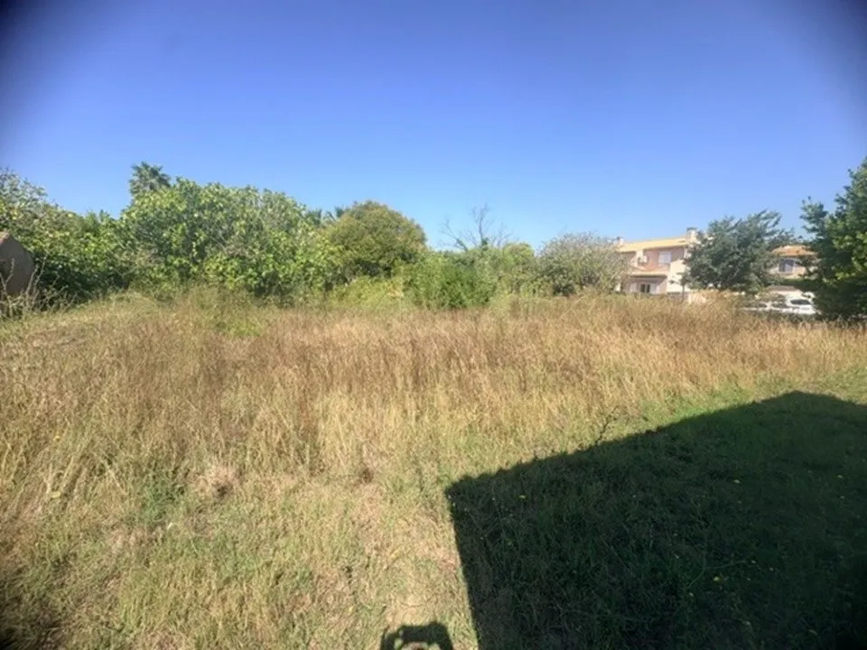 Terrain