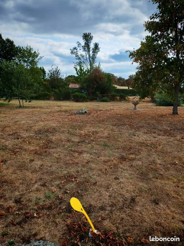 Terrain