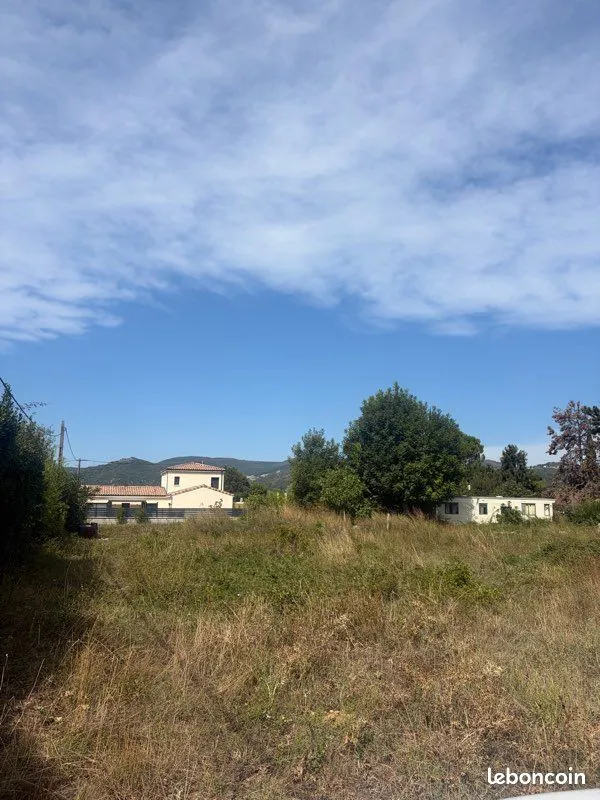 Terrain
